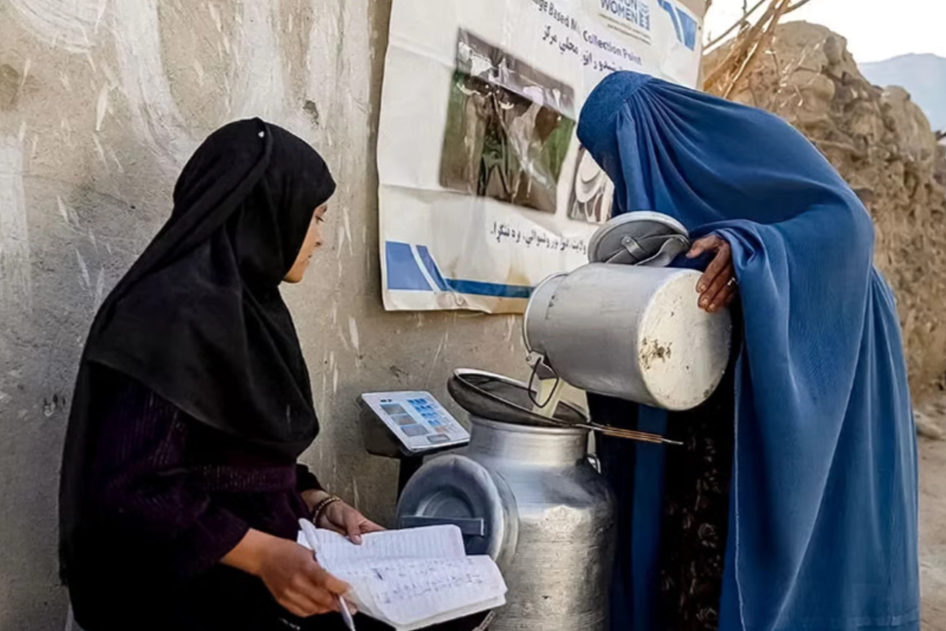 Gender Equality, Women & Youth Inclusion